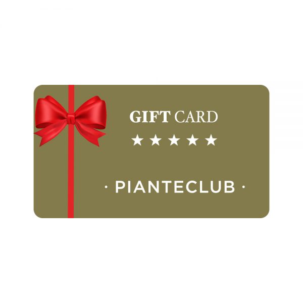A Gift for You Gift Card